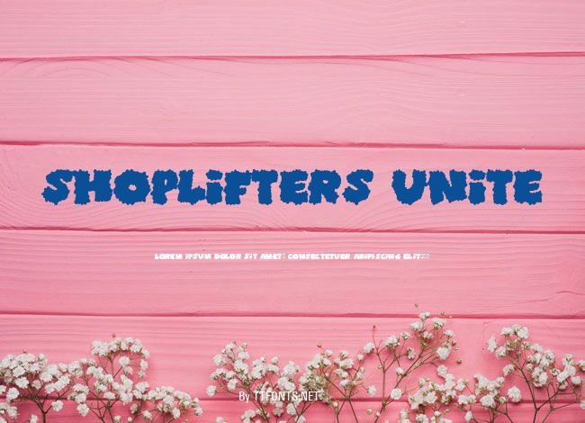Shoplifters unite example